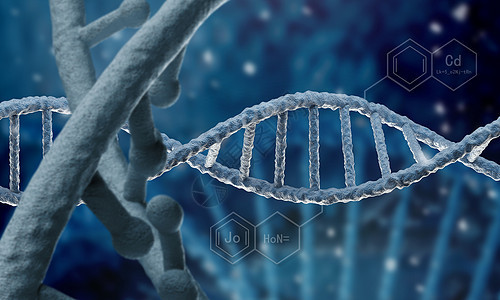 DNA分子 高科技時(shí)代的生物化學(xué)基石與生物科技的變革力量